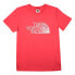 Фото #1 товара THE NORTH FACE Biner Graphic 1 short sleeve T-shirt