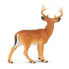 Фото #3 товара SAFARI LTD Whitetail Buck Figure