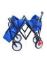 Folding Wagon Garden Shopping Beach Cart (Blue colour)