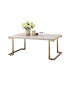 Boice II Coffee Table in Faux Marble & Champagne