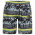 PROTEST Maurits Swimming Shorts