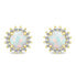 Beautiful Gold Plated Opal Jewelry Set SET231Y (Earrings, Pendant)