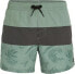 O Neill Męskie Szorty MIX & MATCH CALI BLOCK 15'' SWIM SHORTS