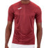 ფოტო #1 პროდუქტის JOMA Tiger short sleeve T-shirt