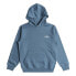 Фото #1 товара BILLABONG Arch hoodie