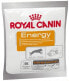 Фото #1 товара royal Canin Hundesnack Energy 50 g, 1 Stück Универсальная 3182550784641