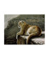 Фото #1 товара Ron Parker 'Rimrock Cougar' Canvas Art - 14" x 19"