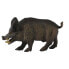 COLLECTA Wild Pig Figure