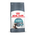Cat food Royal Canin Hairball Care Adult 2 Kg
