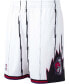 Men's White Toronto Raptors Hardwood Classics Swingman Shorts Белый, XL - фото #3