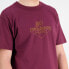 ფოტო #4 პროდუქტის NEW BALANCE Nb Athletics Work Graphic short sleeve T-shirt