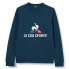 Фото #1 товара LE COQ SPORTIF Fanwear sweatshirt