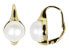 Gold-plated earrings with real pearls JL0532