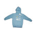 Фото #2 товара RC CELTA Hoodie