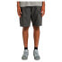 Фото #1 товара ELEMENT Legion cargo shorts