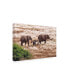 Фото #2 товара Izonevision Robert D Abramson Elephant Family Tanzania Canvas Art - 15" x 20"