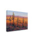 Фото #2 товара Tim OToole Desert Light I Canvas Art - 36.5" x 48"
