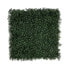 Фото #1 товара Pflanzenwand Boxwood DG