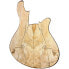 Фото #1 товара Franz Bassguitars Merak 5 Spalted Alder LTD 2024