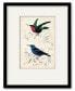 Фото #1 товара D'Orbigny Birds II 16" x 20" Framed and Matted Art