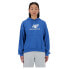 Фото #1 товара NEW BALANCE Sport Essentials French Terry Logo hoodie