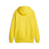 Фото #2 товара Puma Pl Graphic Pullover Hoodie Mens Yellow Casual Outerwear 62102506