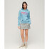 SUPERDRY Tonal Rainbow Core Logo hoodie