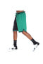 Фото #4 товара Boston Celtics Courtside Dri-Fit NBA Erkek Yeşil Basketbol Şort DR9354-312