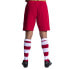 Фото #2 товара JOMA Eurocopa III Shorts