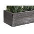 Decorative Plant DKD Home Decor Wood Polyethylene 32 x 14 x 19,5 cm (2 Units)