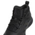 Basketball shoes adidas Cross Em Up 5 K Wide Jr GX4694