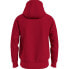 Фото #2 товара TOMMY HILFIGER hoodie