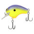 Shimano Purple Back Chart MACBETH 50 Crankbait (MB50PC) Fishing