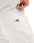 Dickies duck canvas chap shorts in off white