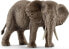 Фото #1 товара Фигурка Schleich Female African elephant Wild Life (Дикая природа).