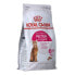 Фото #1 товара Сухой корм Royal Canin Protein Exigent для взрослых котов, птицы, 400 г