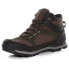 Фото #4 товара REGATTA Blackthorn Evo Hiking Boots