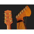 Фото #7 товара Timberline Guitars T70HGpc-e Harp Guitar