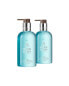 Фото #2 товара Molton Brown Coastal Cypress & Sea Fennel Fine Liquid Hand Wash Doppelpack (2er Set)