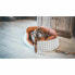 Фото #4 товара Кровать для собаки Tyrol Оранжевый M 70 x 60 x 23 cm