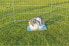 Фото #1 товара Trixie Płyta ceramiczna chłodząca królika świnki gryzoni uniwersalny