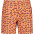 CMP 33R9114 Swimming Shorts