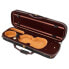 Petz 100VN Violin Case 1/2 BK/BR