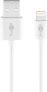 Wentronic Lightning USB Charging and Sync Cable - 0.5 m - 0.5 m - Lightning - USB A - Male - Male - White