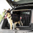 ფოტო #9 პროდუქტის FERPLAST Atlas Car 100 Scenic Pet Carrier