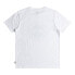 BILLABONG Rotor Fill short sleeve T-shirt