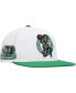 Men's White Boston Celtics Soul Logo Shine 2-Tone Snapback Hat