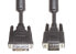 Фото #1 товара E&P DVI 4 DVI-Anschlußkabel 2.0m 15p Stecker/HD-Stecker 18+5 - Cable - Digital/Display/Video