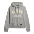 Фото #1 товара SUPERDRY Vintage Athletic hoodie