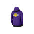 Nike Nba Los Angeles Lakers